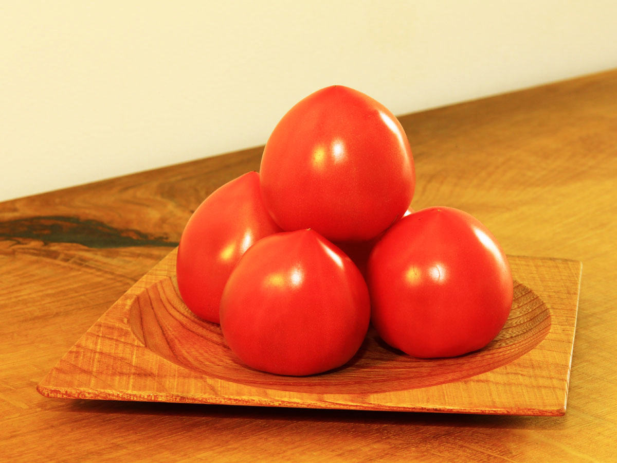 トマト・トウモロコシ