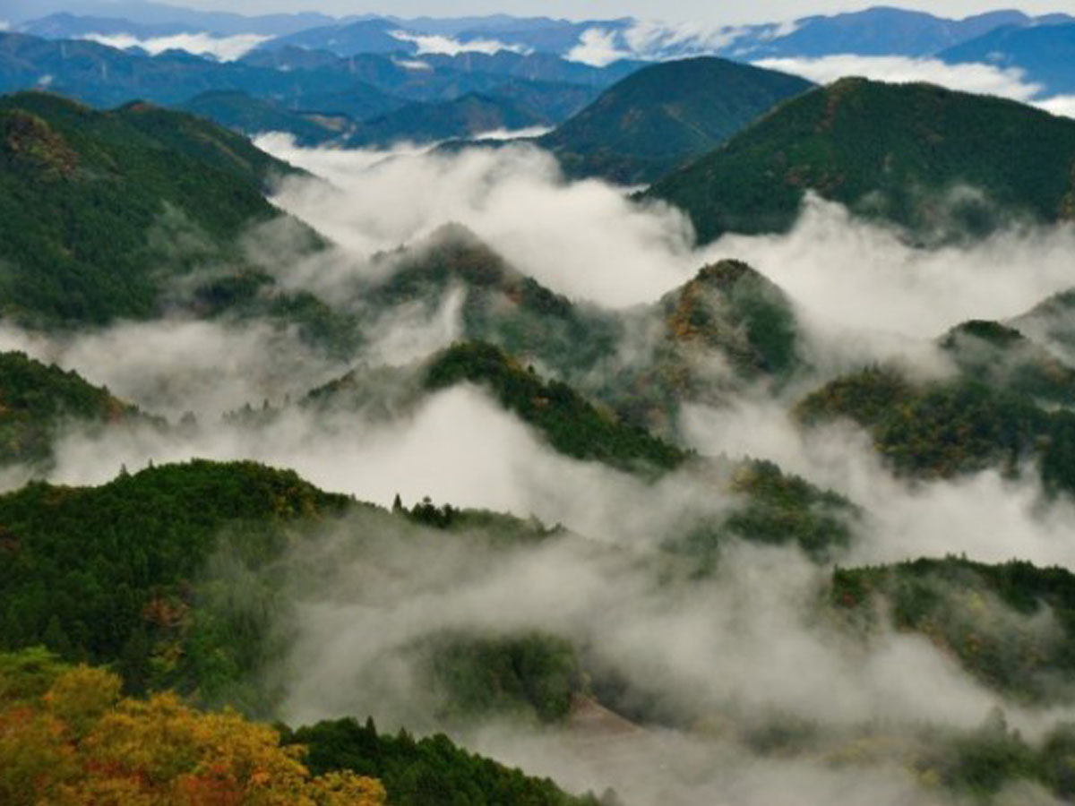 岩古谷山